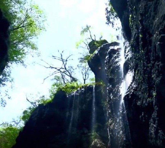 青山綠水，白龍江畔江畔息白鷺，兩岸綠橄欖入眼的都是純樸自然枝上花開(kāi)，春來(lái)水暖魚(yú)蝦戲水，鳥(niǎo)語(yǔ)花香心中充滿(mǎn)著舒暢之感祥宇生態(tài)產(chǎn)業(yè)園，位于隴南市武..